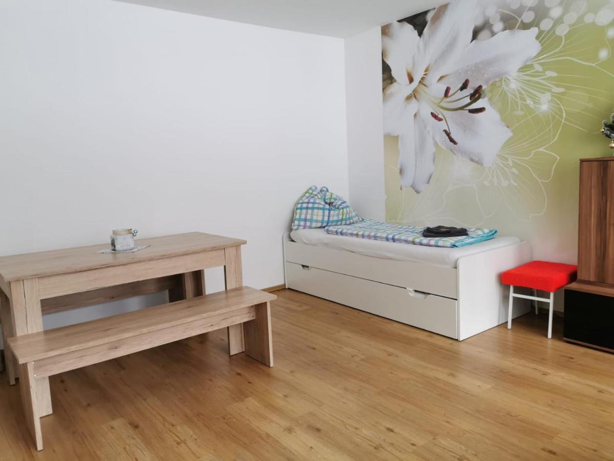 Apartment Fewo Irdning Pichlarn Aigen im Ennstal Exterior foto