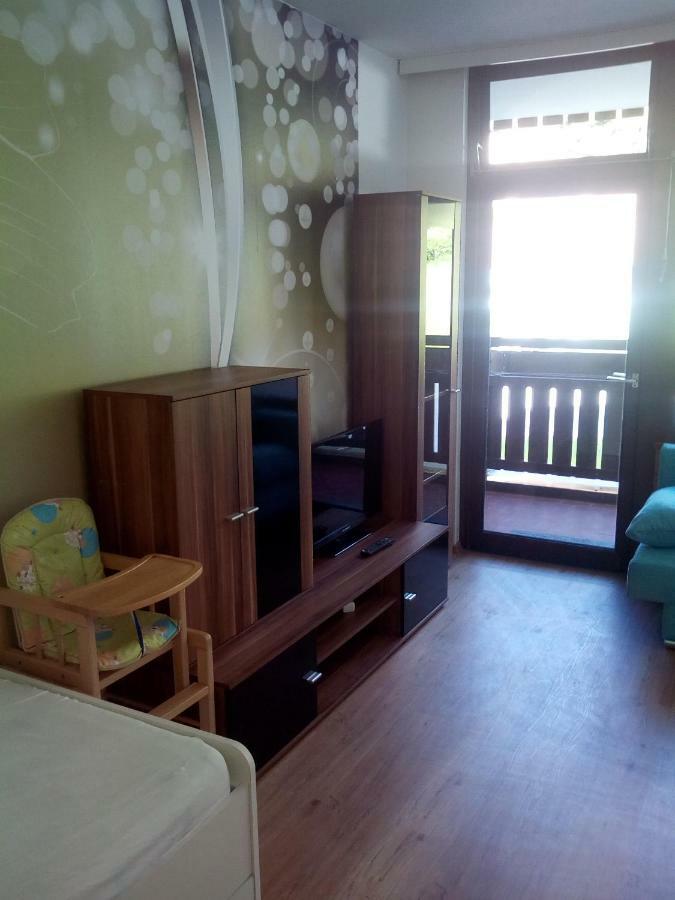 Apartment Fewo Irdning Pichlarn Aigen im Ennstal Exterior foto